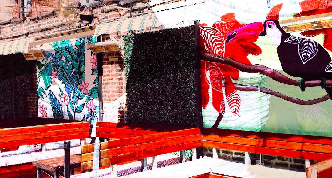 Painting with the Panasonic AU-EVA1 Cinema Camera