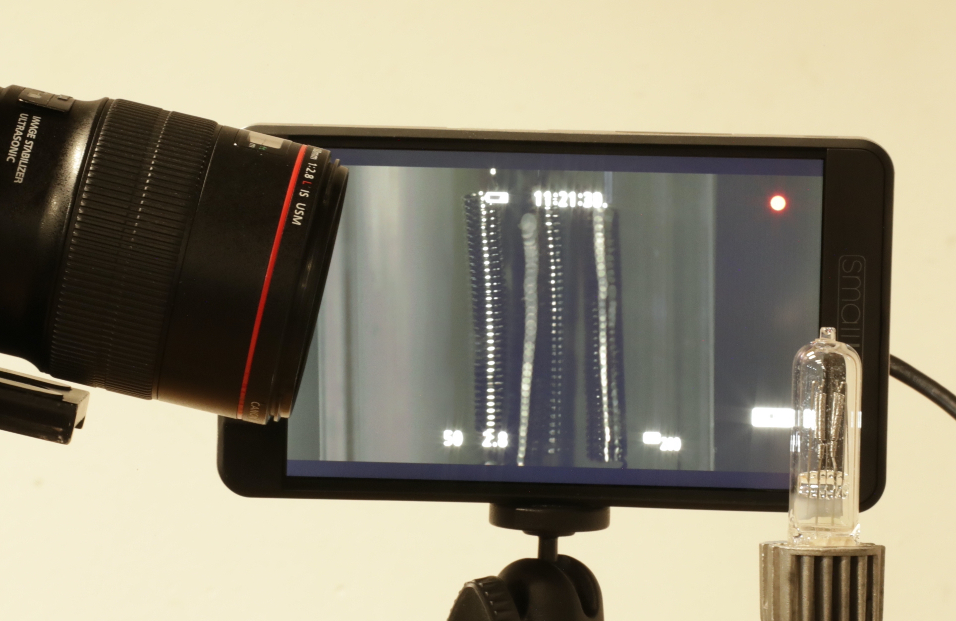 This image demonstrates the product of macro lens photography.