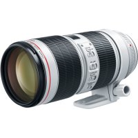 Canon EF 70-200mm f/2.8L III IS Zoom Lens